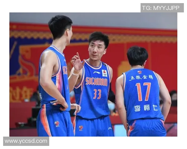 韩硕：从青年才俊到行业领军人物的成长之路与未来展望